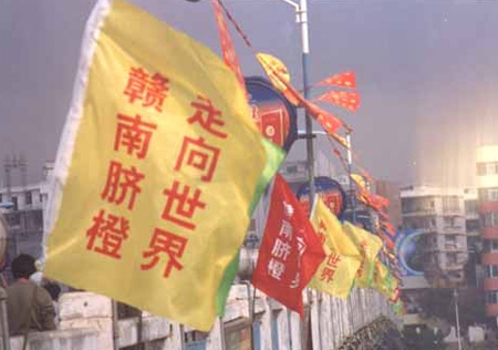 &#108;&#111;&#103;&#105;&#110;&#95;&#35946;&#38376;&#22269;&#38469;